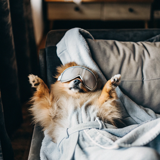 Unleash the Secrets to Pawsome Grooming: Your Ultimate Guide to Seasonal Pet Care